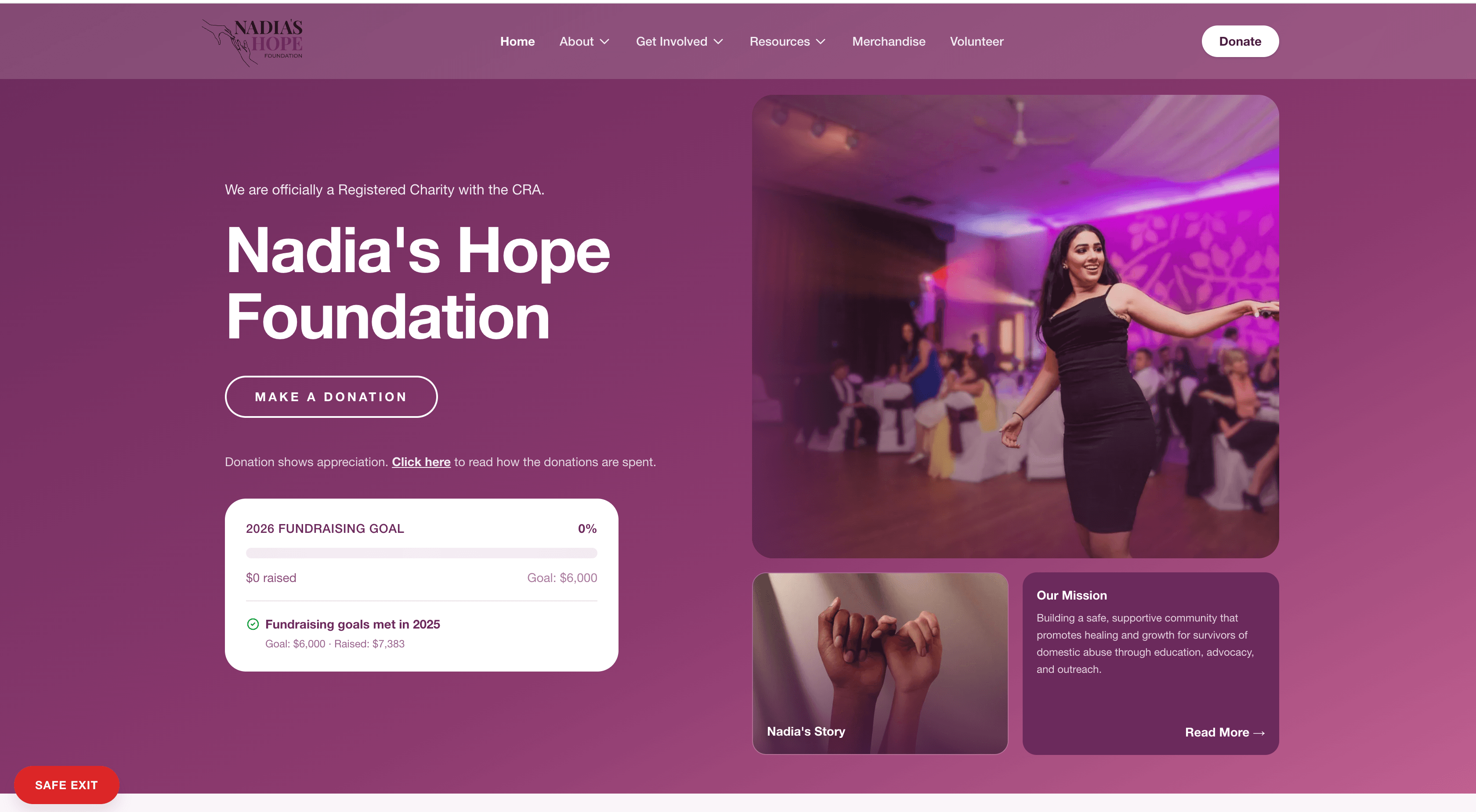 Nadia's Hope Foundation preview